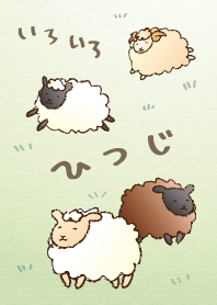 Various sheep