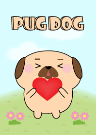 My Cute Pug Dog Theme
