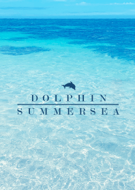 SUMMER SEA - HAWAII BLUE DOLPHIN 6