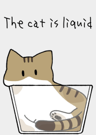 The cat is liquid [brown tabby white]
