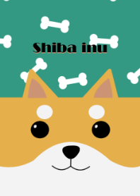 Lovely shiba inu