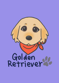 Golden Retriever Illustration Theme