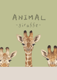 ANIMAL - Giraffe - MATCHA GREEN