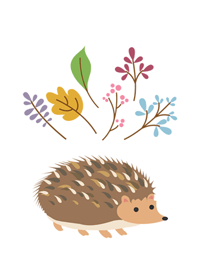 Cute flowers and plants - hedgehog