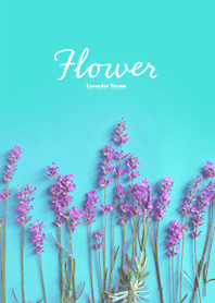 Flower -Lavender