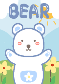 bear bear rainbow