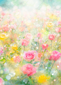 Beautiful rose flower(R5478)