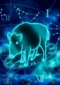 生肖猪-摩羯座-