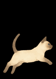 Siamese cat holiday04 on black