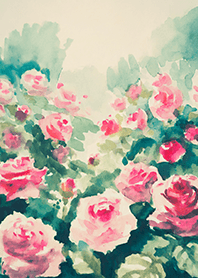 Beautiful rose flower(R4438)