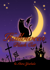 Halloween Black Cat