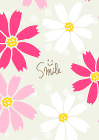 Cosmos cute10 from Japan