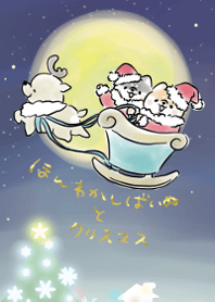 Shiba Inu Dog Xmas