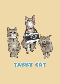 tabbycat11 / yellow