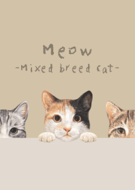 Meow - Mixed breed cat 01 - DUSTY BEIGE