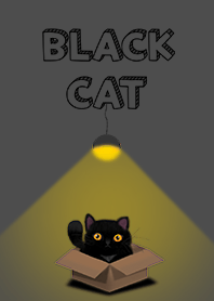 검은 고양이다 ^^