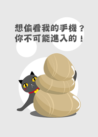 想偷看我的手機？