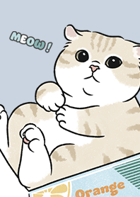 neko single17 / light slate blue