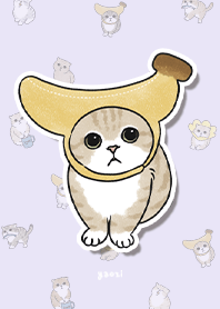 neko combo3 / light purple