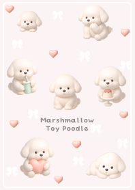 babypink Marshmallow Toy Poodle 02_1