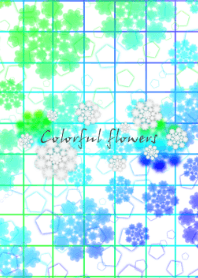 Colorful flowers !