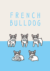 Doodle pied french bulldog.