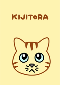 Tabby cat KIJITORA