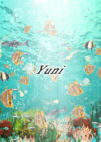 Yuni Coral & tropical fish2
