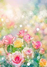 Beautiful rose flower(R2777)