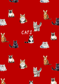 cat world on red & beige