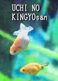 My Goldfish (UCHI NO KINGYOsan)