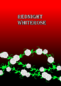 Red night white rose