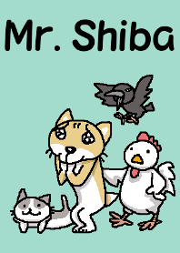 Mr. Shiba