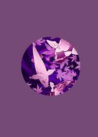 Japanese carp pink in money luck