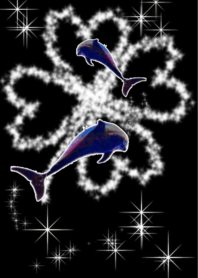 lucky dolphin Diamond Shiny Black