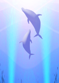 ●イルカーdolphins 第三章