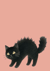 A unique cat12 pink & blue