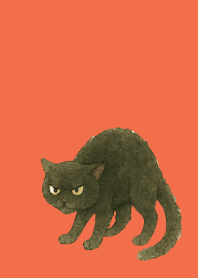Angry Black Cat on red & yellow