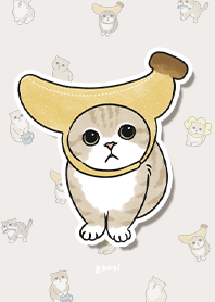 neko combo3 / light beige