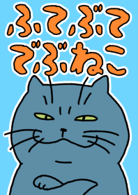 so cute fat cat(jp)