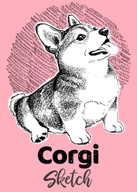 柯基犬草圖