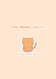 The orange cattt