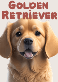 忠實大朋友 黃金獵犬