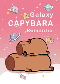 水豚/浩瀚星空/浪漫漸層/粉紅色4