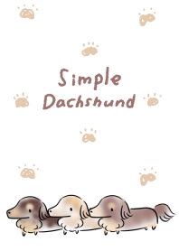 Sederhana Dachshund.