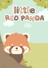 Cute Little Red Panda