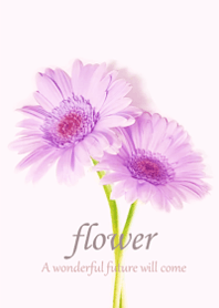 Gerbera wrapped in gentle happiness9.