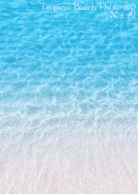 TropicalBeach Photo 250 Not AI