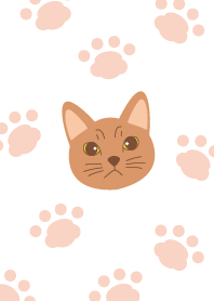 BanBan cat