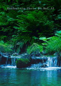 Headwaters Photo #9-3 Not AI
